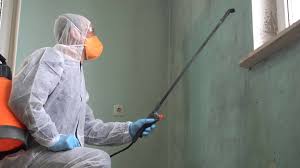 Why You Should Choose Our Mold Remediation Services in Blooming Prairie, MN